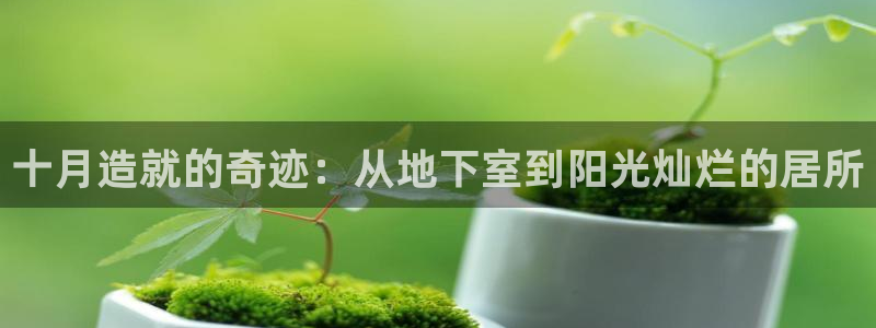 征途国际登录
